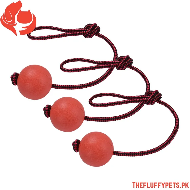 Pet Chewing Red Hard Ball Toy