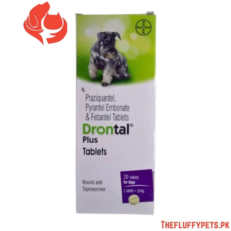 Drontol Tab Dog (Made in India)