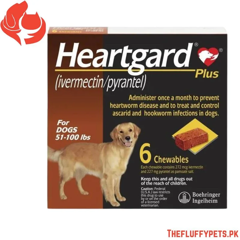Heartgard Plus Chew for Dogs ( 1 Tablet)