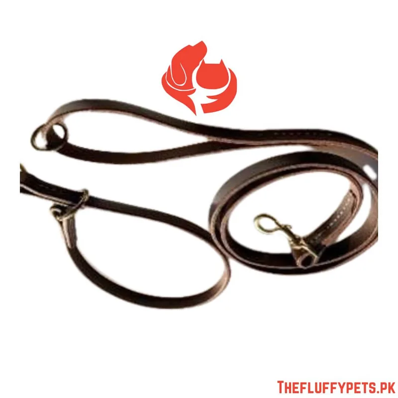Puppy Choke Lead with Collar