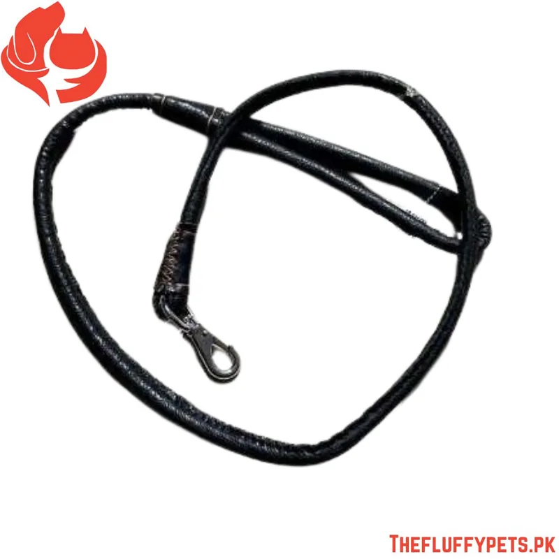 Round Leather Leash