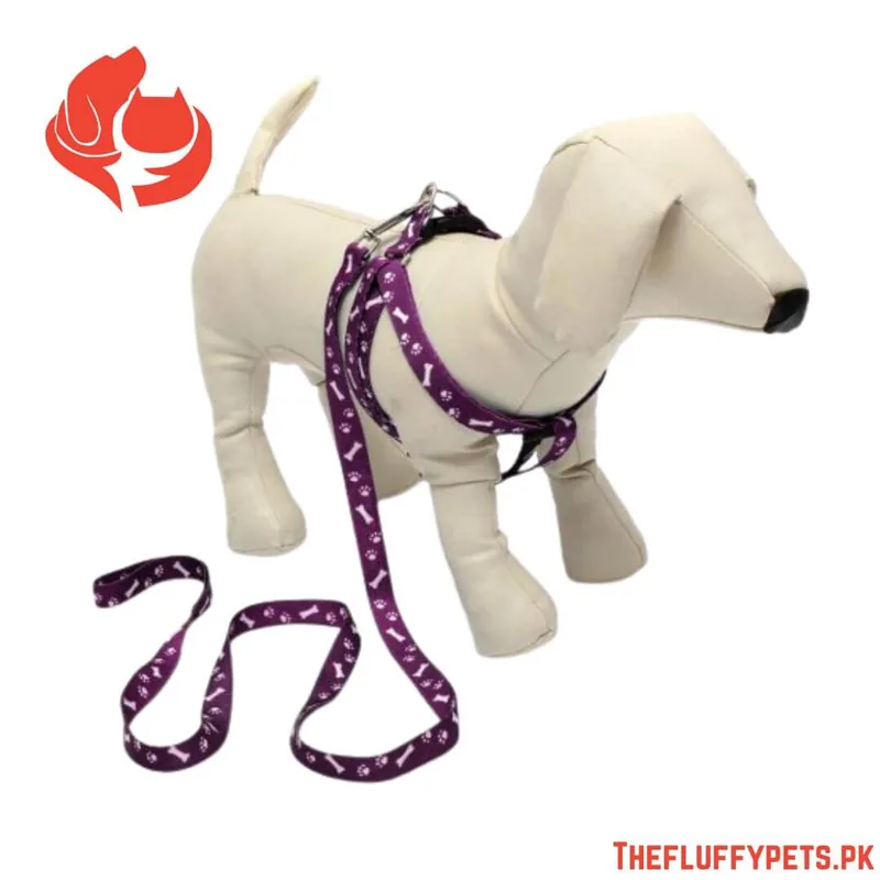 Puppy & Cat Harness