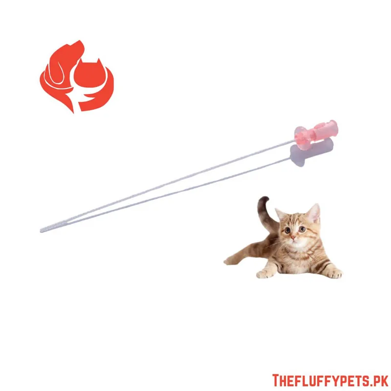 Cat Catheters with Pin
