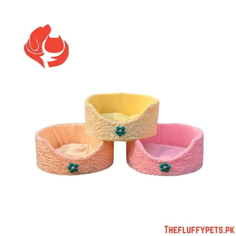 Coshida Cat Treats