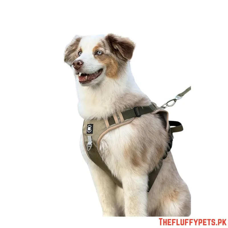 Full Body Harness For Dogs image 3