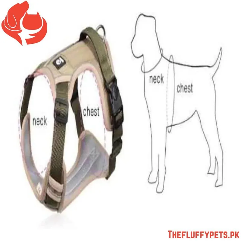 Full Body Harness For Dogs