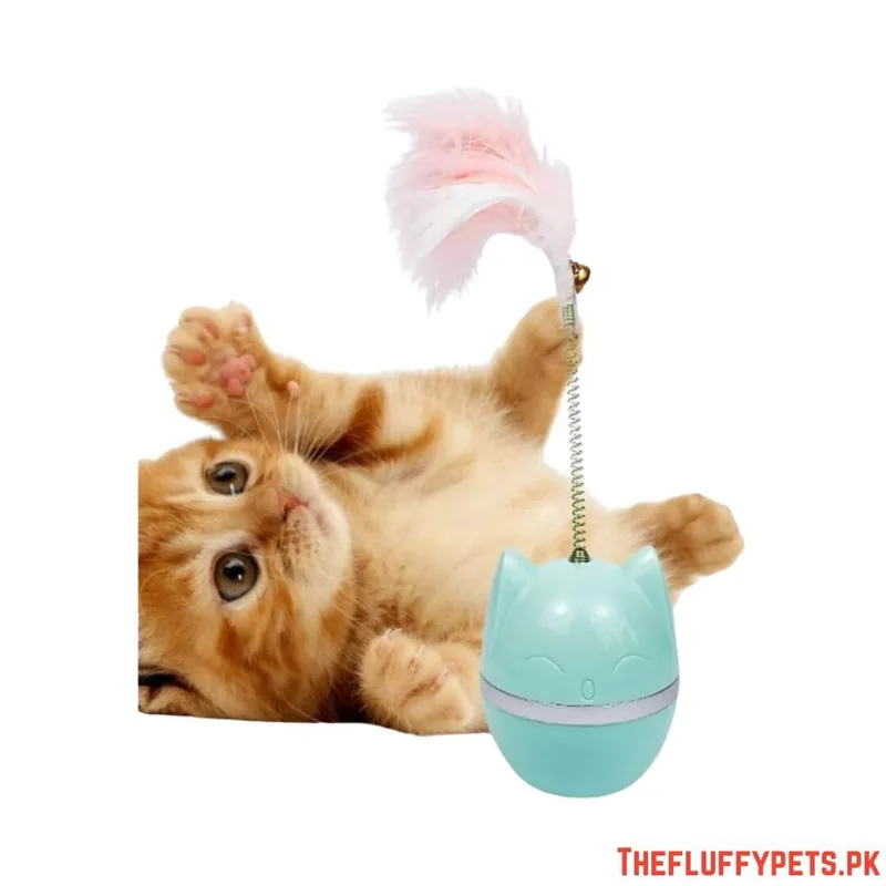 Spring Ball Cat Toy Simple image 3