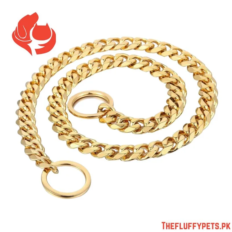 Golden Show Choke Chain