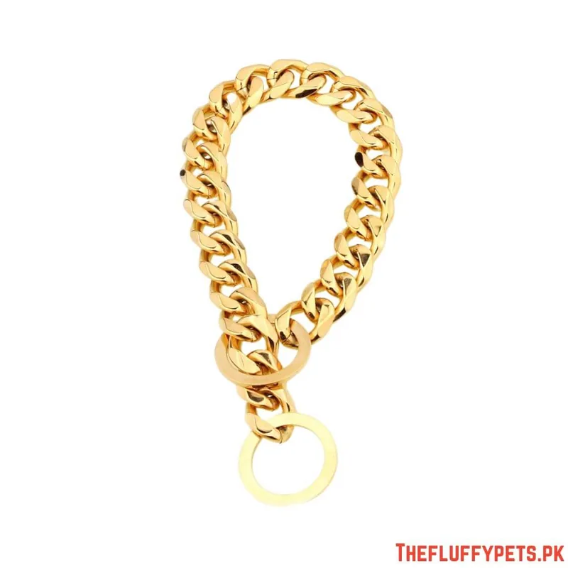 Golden Show Choke Chain image 2