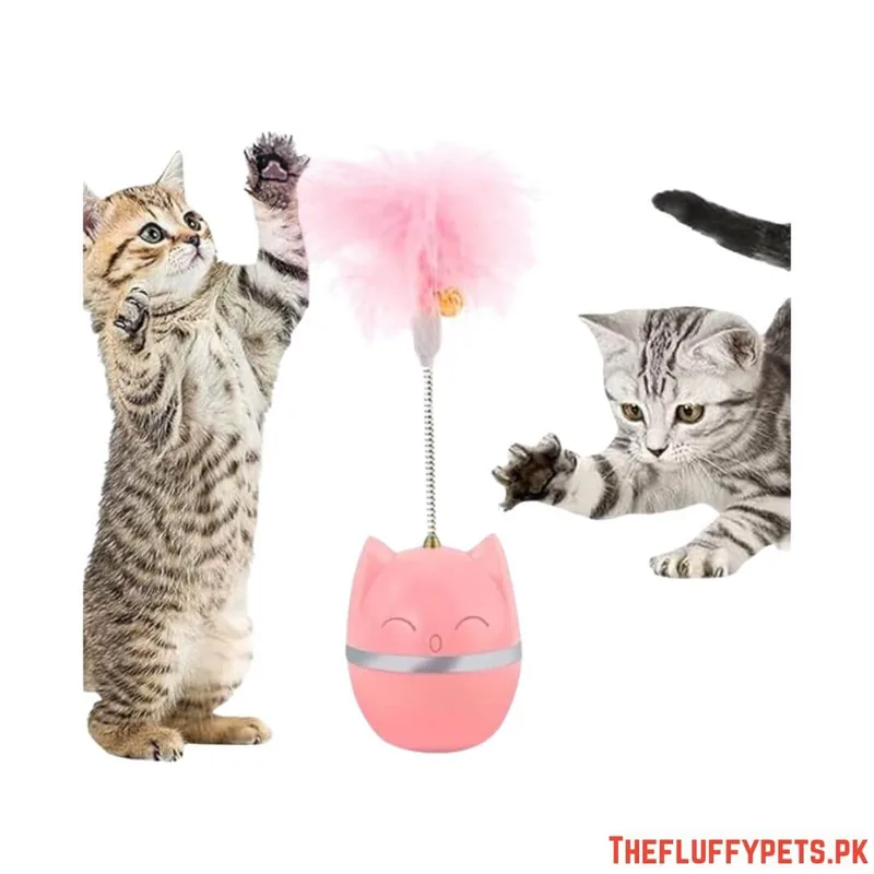Spring Ball Cat Toy Simple image 2