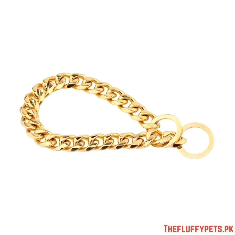 Golden Show Choke Chain image 3