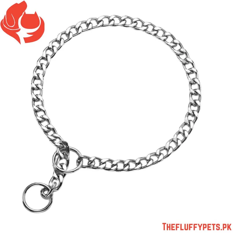Snake Choke Chain