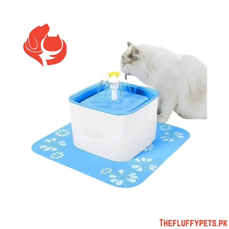 Water Fountain for Cats 2.0 Liters