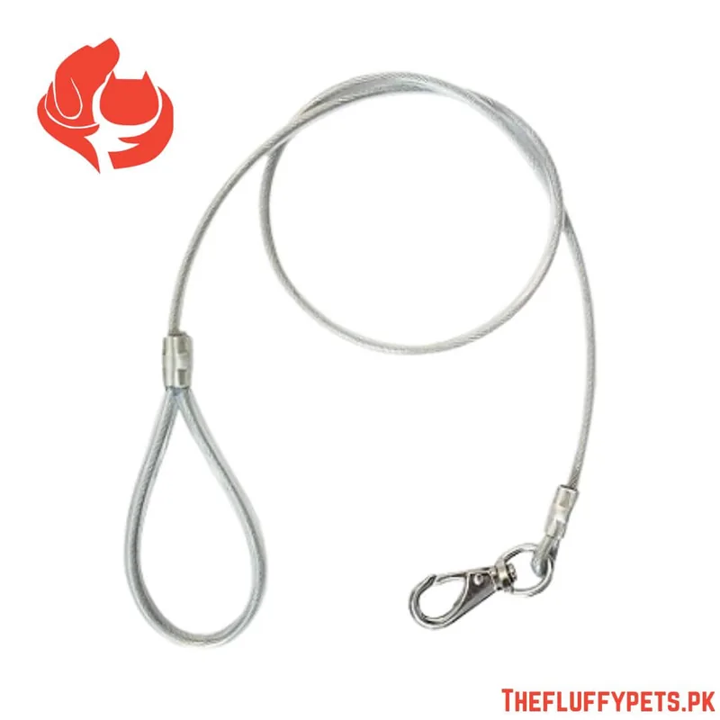 Wire Leash