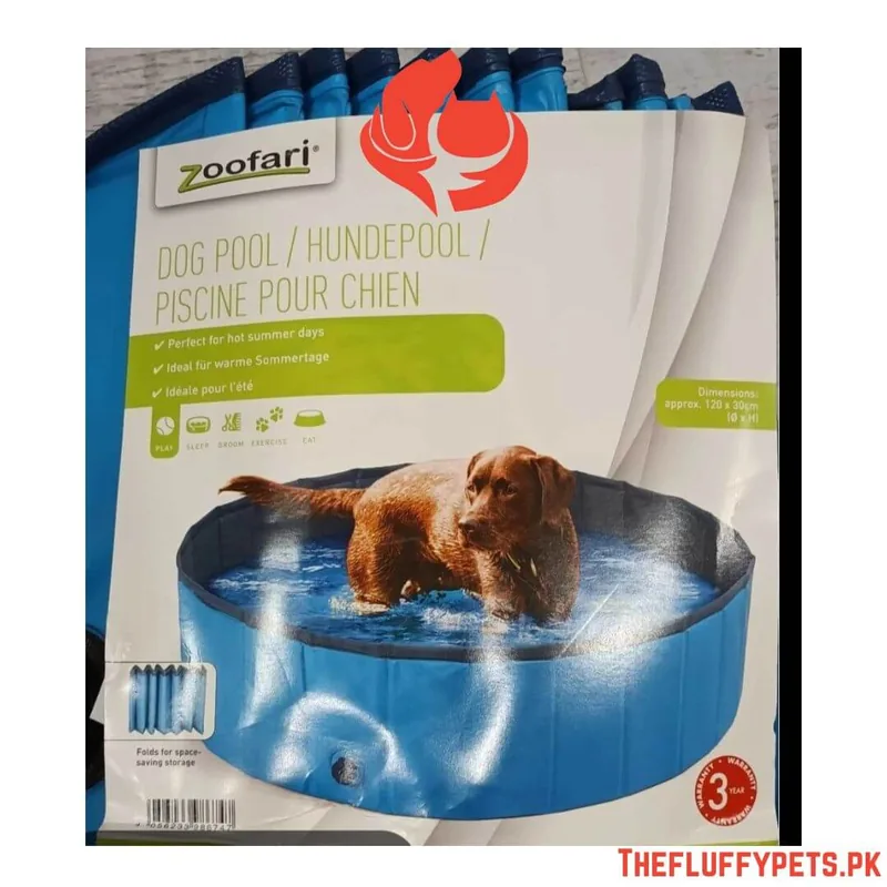 Zoofari Dog Pool