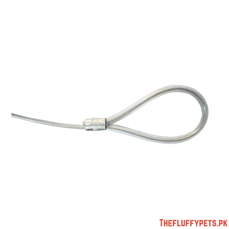 Wire Leash image 3