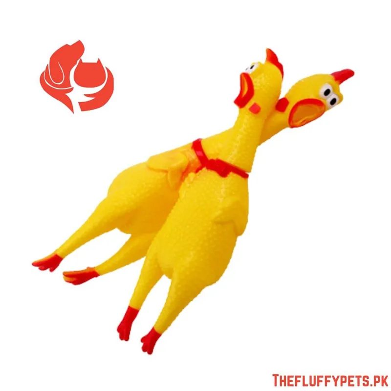 Squeaking Hen Toys
