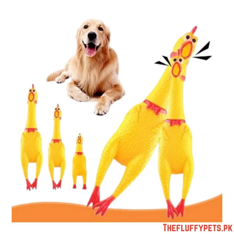 Squeaking Hen Toys image 2