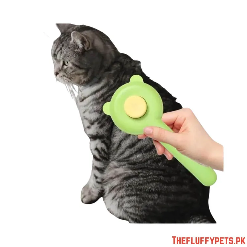 Bear Face Self Cleaning Brush For Pets image 3