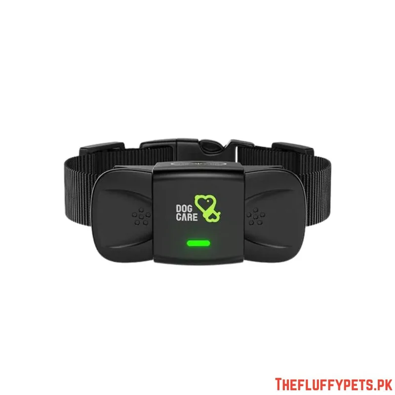 Dog Training Collar image 3