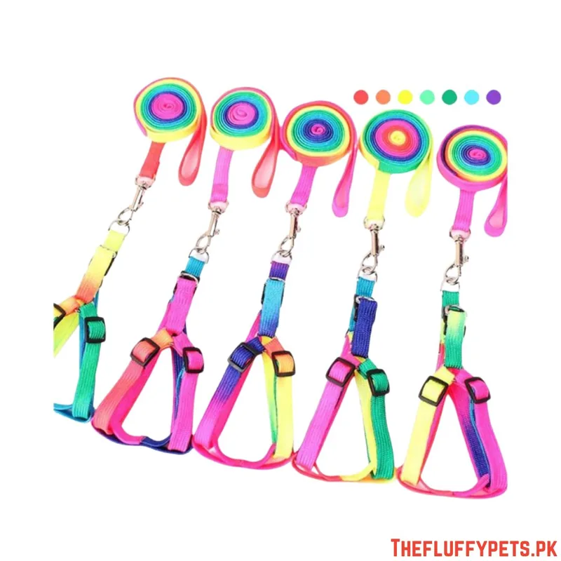 Cat Litter Scoop