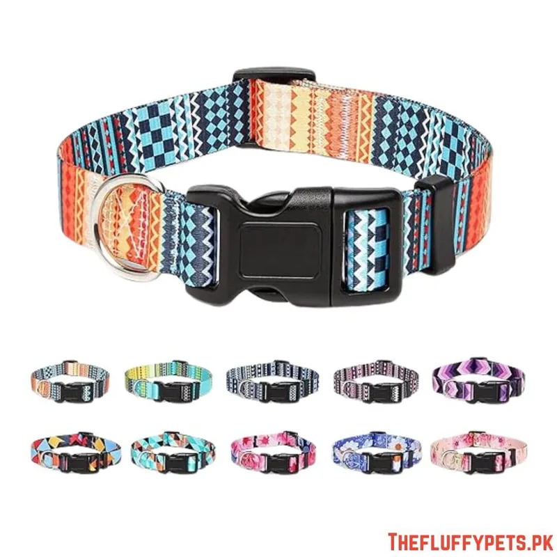 Multi Colour Soft Collar with Buckle image 2