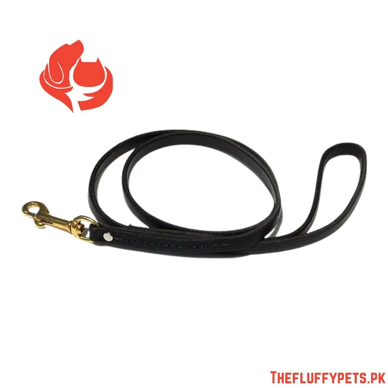 Square Leather Leash
