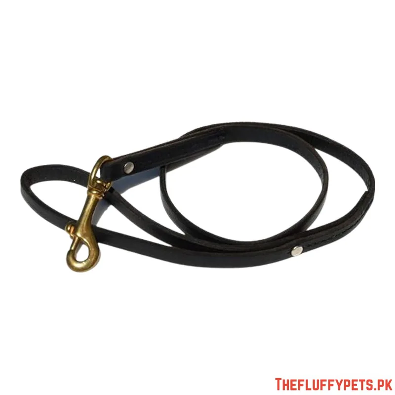 Square Leather Leash image 2
