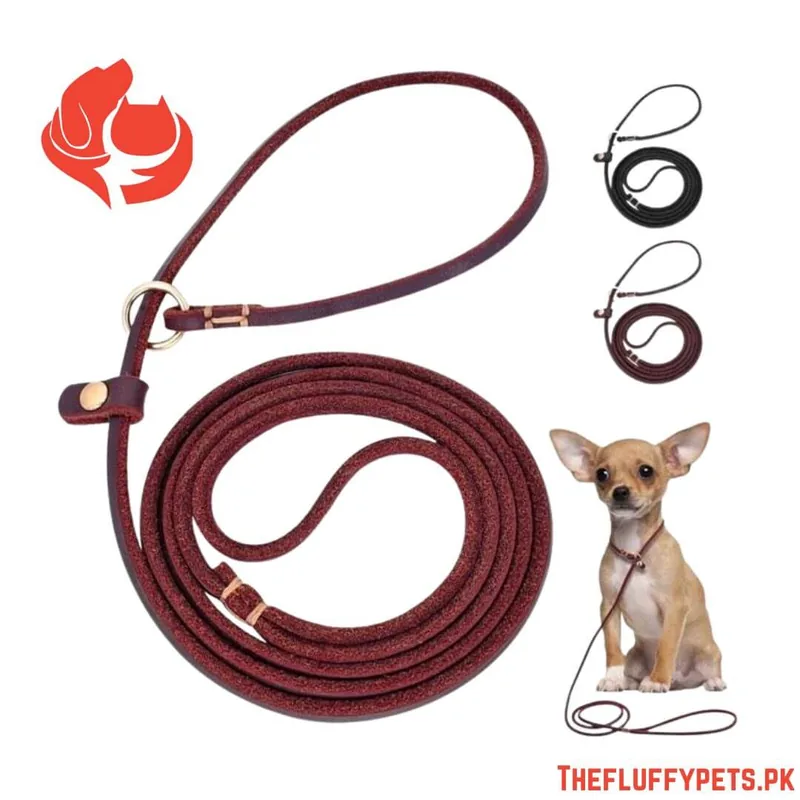 Leather Choke Leash