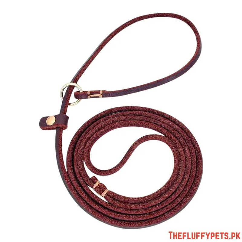 Leather Choke Leash image 2
