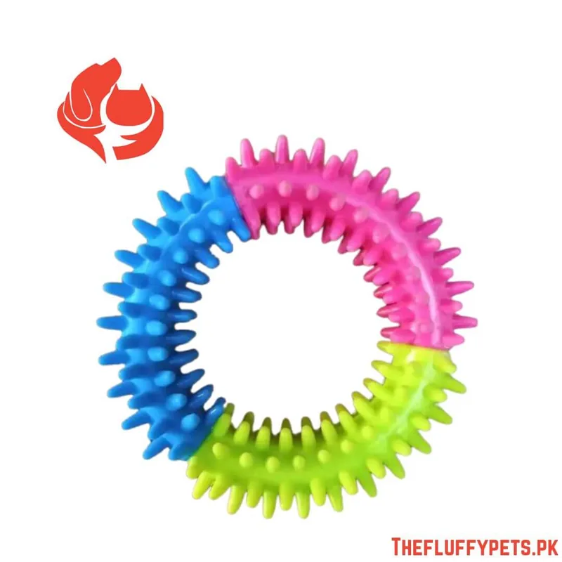 Ring Teather Toy