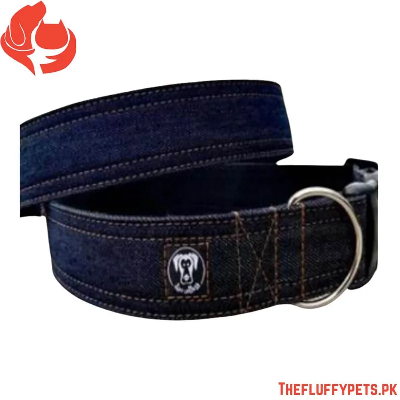 Jeans collar