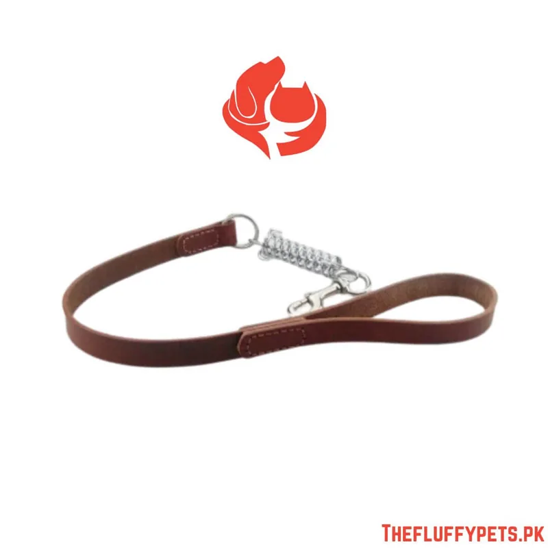 Square Leather leash High with Spring