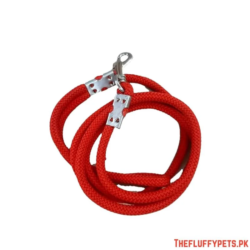 Toy Breed Leash image 2