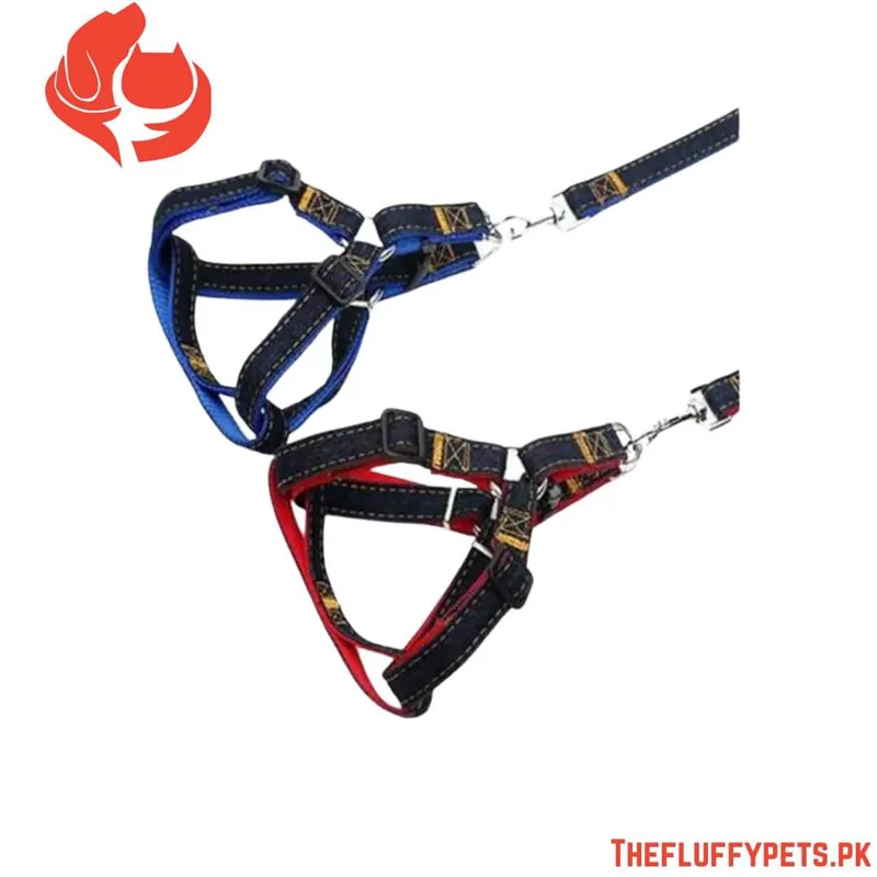 Jeans Harness
