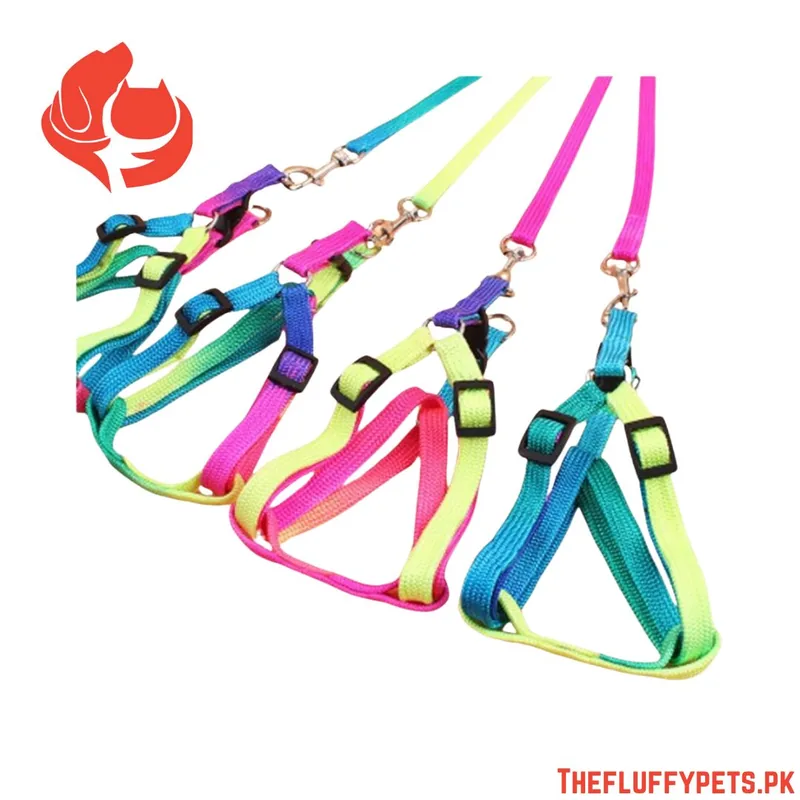 Dog Multi Color Harness with Leash