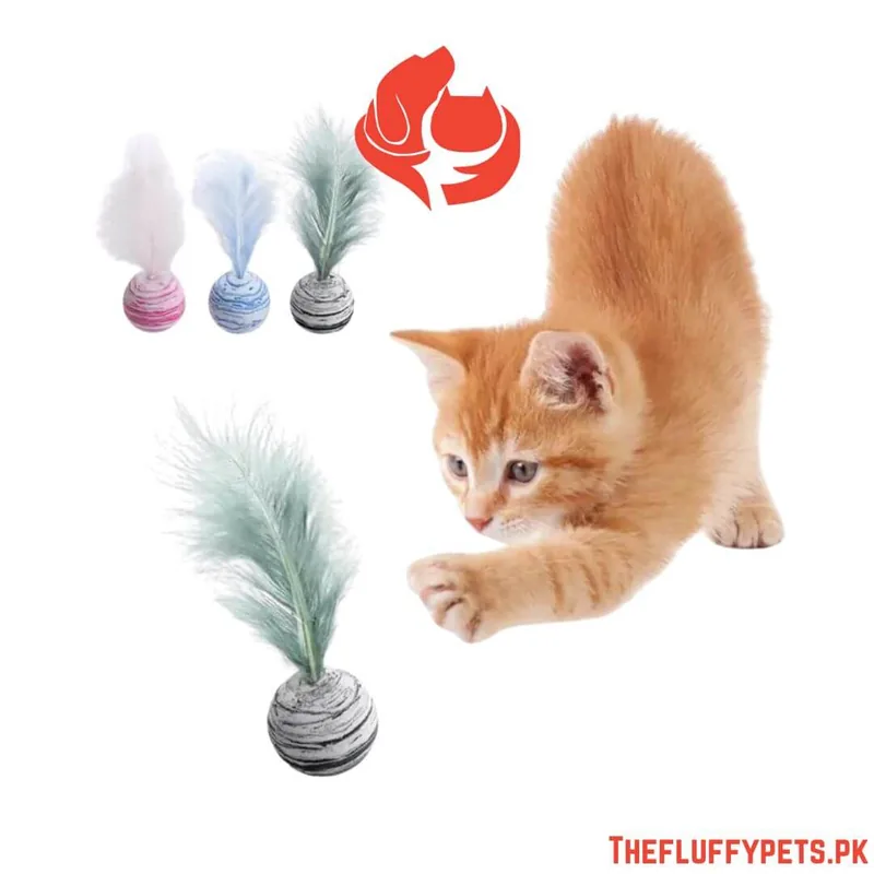 Ball with Feather Toy for Cats