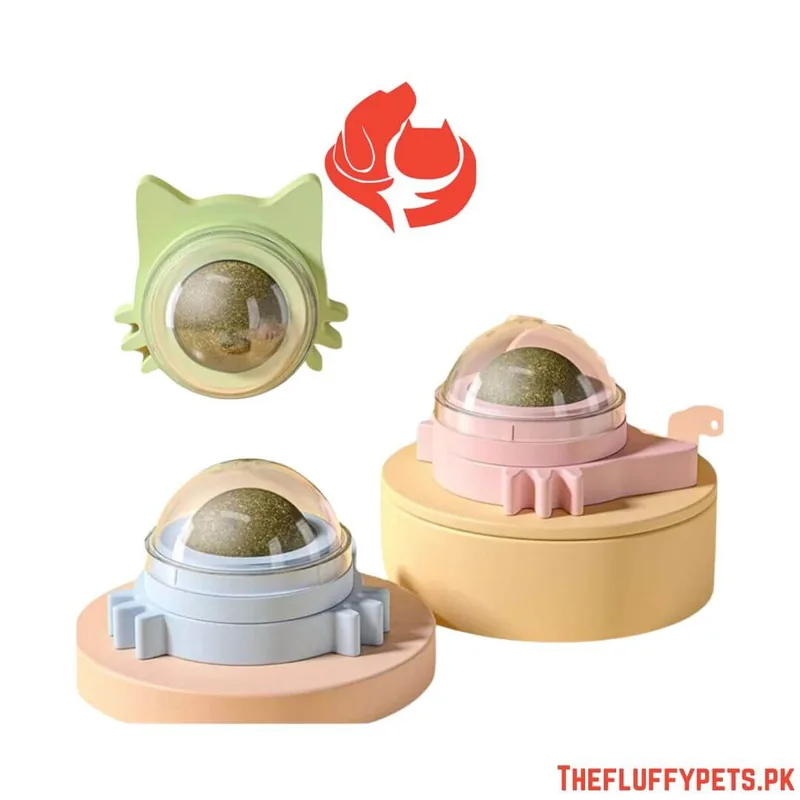 Catnip Wall Ball Toys
