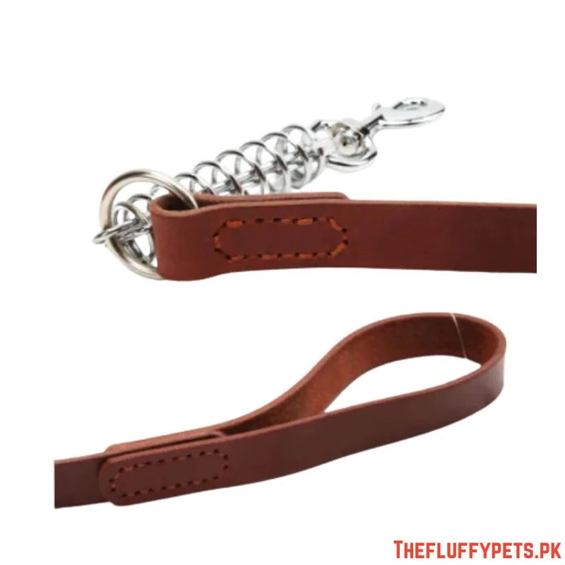 Square Leather leash High with Spring image 2
