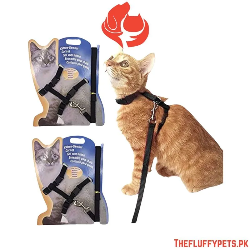 Simple Cat Harness