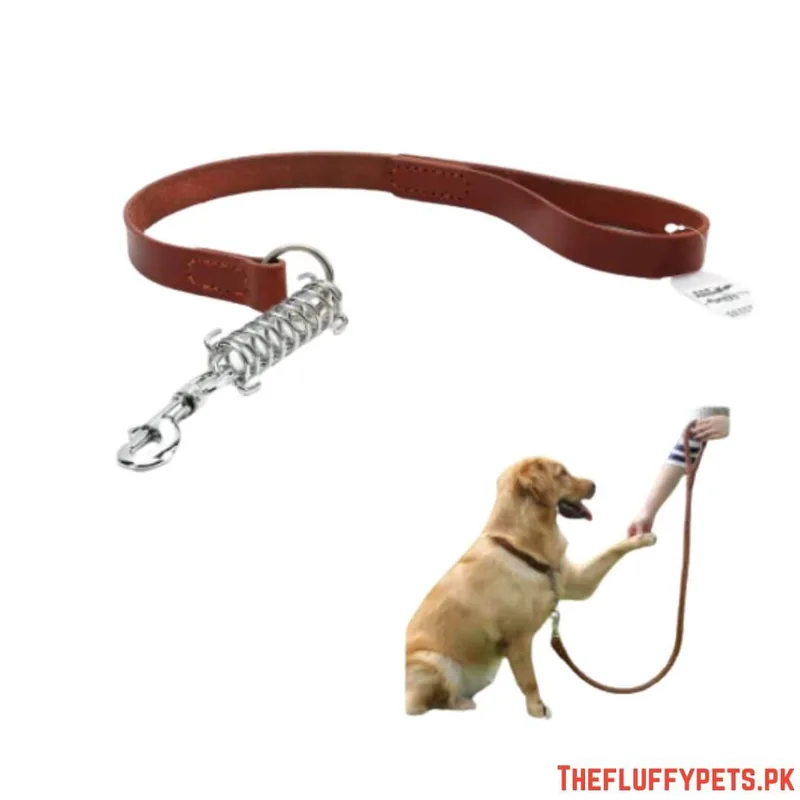 Square Leather leash High with Spring image 3