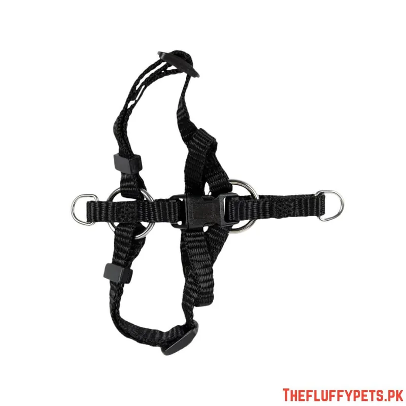 Simple Cat Harness image 2