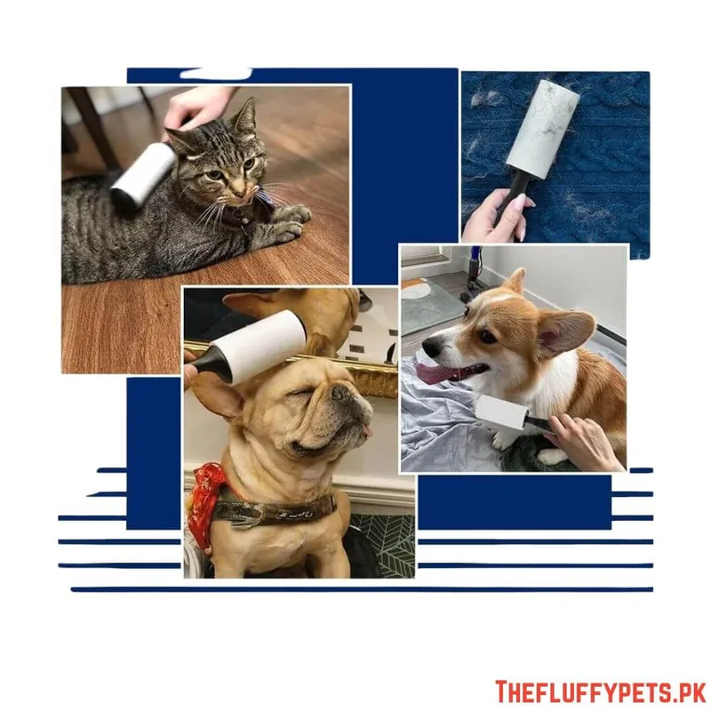 Lint Roller for Pets image 2