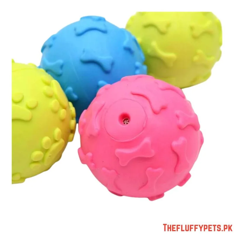 Chewing Training Ball for Dogs and Puppies image 2