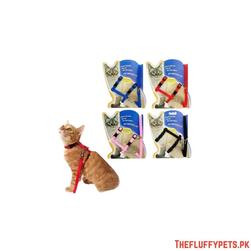 Cat Harness Shapes image 2