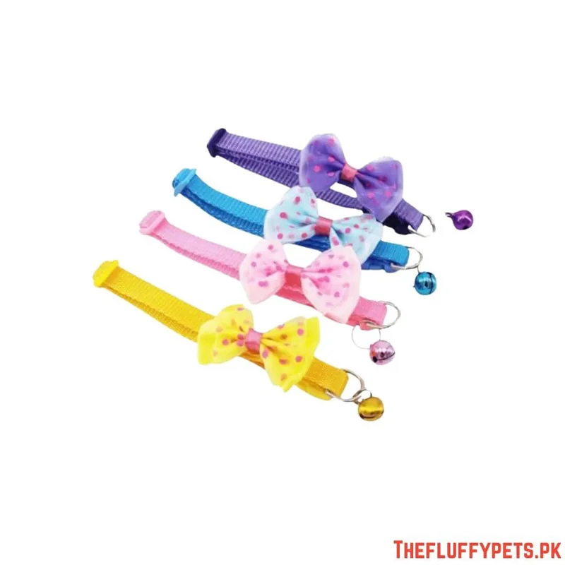 Multi Colour Leash