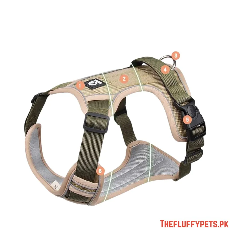 Full Body Harness For Dogs image 2