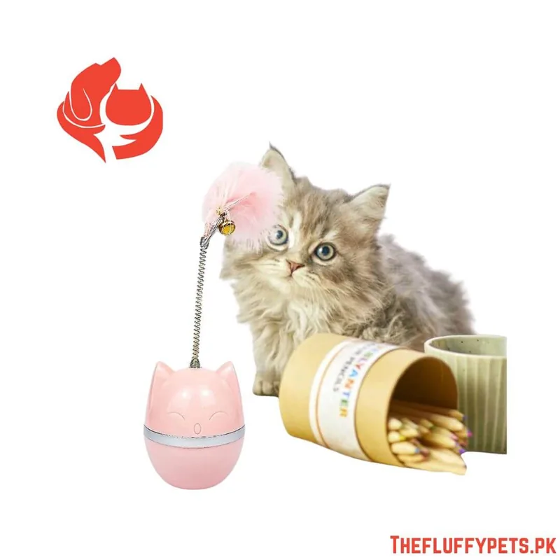 Spring Ball Cat Toy Simple
