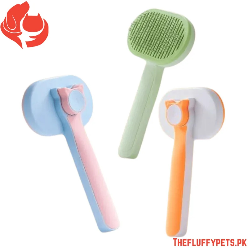 Button Brush Oval (In Box Pack)