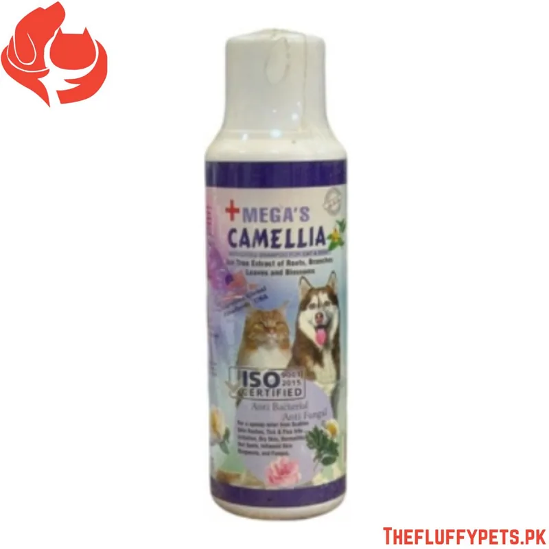 Camellia Tea Tree Extract Medicated Shampoo for Skin Problems in Pets
